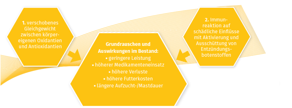 Ursachen des Grundrauschens Ursachen des Grundrauschens