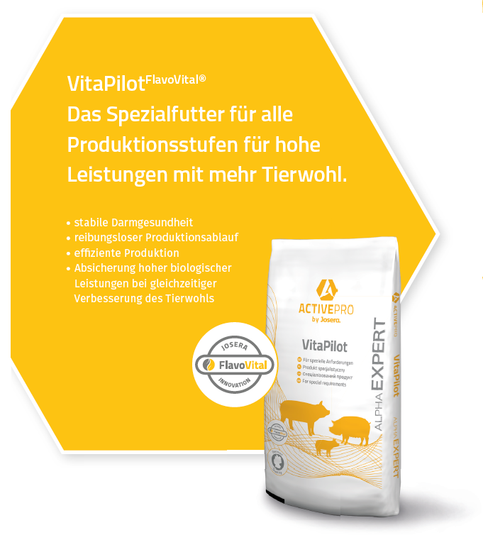 VitaPilot-Produktmerkmale VitaPilot Produktmerkmale