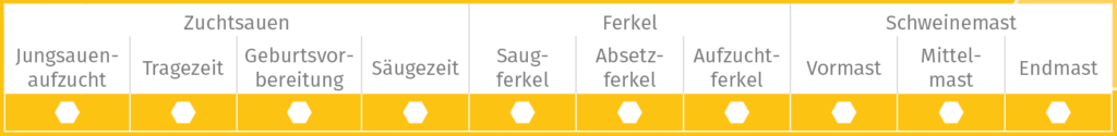 Übersicht Haupteinsatzbereiche VitaPilot Übersicht Haupteinsatzbereiche VitaPilot