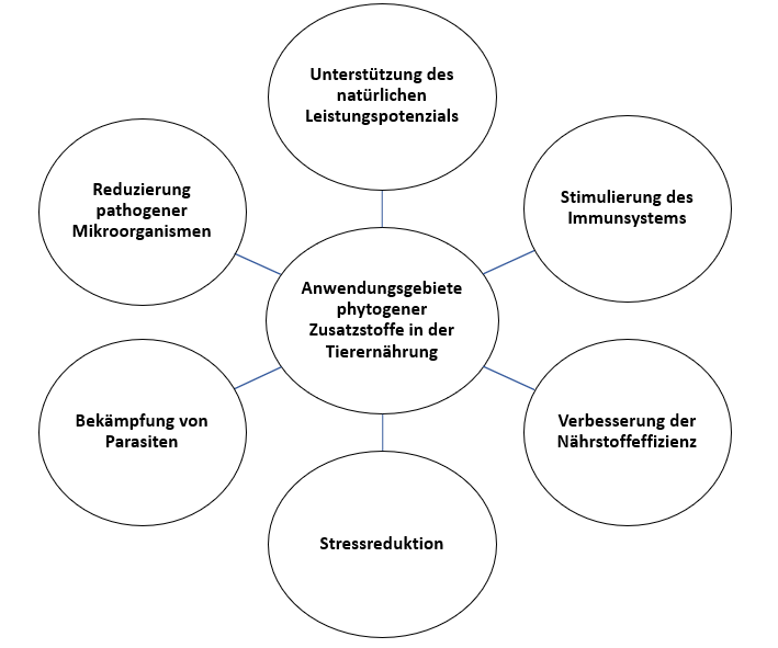 Anwendungsgebiete phytogener Zusatzstoffe Anwendungsgebiete phytogener Zusatzstoffe