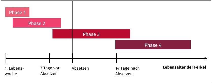 Umstellungszeitpunkte Der Fütterungsphasen Von Ferkeln, ActivePro Grafik zu den Umstellungszeitpunkten der Fütterungsphasen von Ferkeln in Abhängigkeit der Futteraufnahme während der Säugezeit
