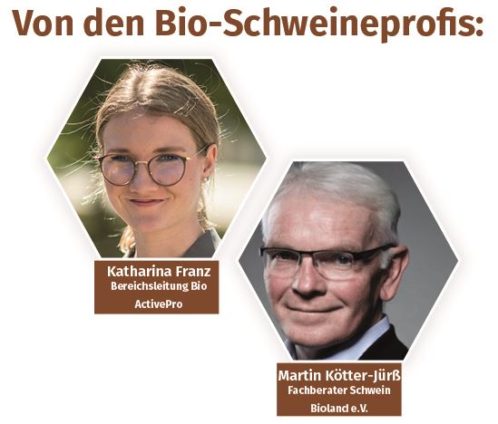 Bio Schweineprofis Bio Schweineprofis